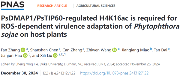 中国农业大学植保学院刘西莉课题组揭示了组蛋白乙酰化修饰H4K16ac调控大豆疫霉响应ROS胁迫的跨代适应性的表观遗传机制