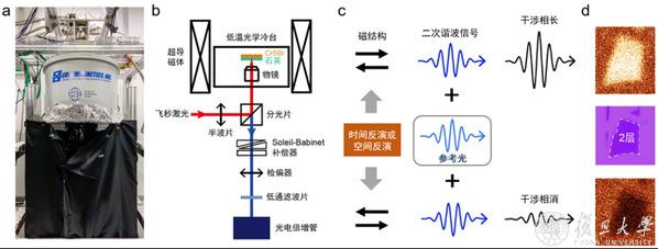 复旦大学物理学系吴施伟研究团队在二维磁性材料的磁多态分辨与操控研究中取得进展