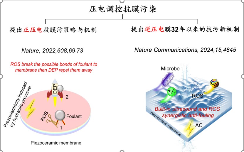 东南大学赵阳研究员在《Nature Communications》上发表最新研究成果