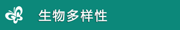 国家综合地球观测数据共享平台