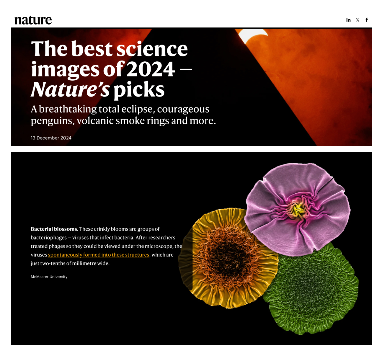 东南大学田磊研究员成果入选《自然》2024年度最佳科学图片