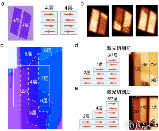 复旦大学物理学系吴施伟研究团队在二维磁性材料的磁多态分辨与操控研究中取得进展