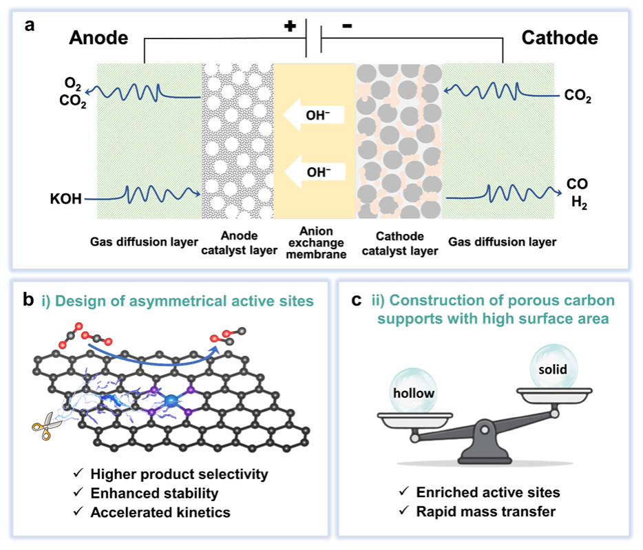 电子科技大学材料学院陈俊松教授团队在Angewandte Chemie International Edition报道高效二氧化碳电解单原子催化剂设计新策略