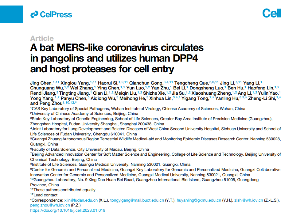 北京化工大学童贻刚课题组在《Cell》发文揭示一种蝙蝠MERS样冠状病毒侵染宿主细胞分子机制