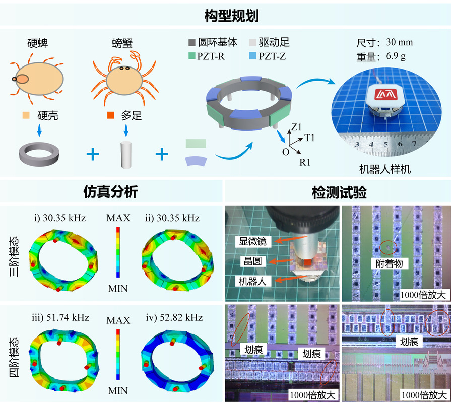 哈工大刘英想教授团队为微小型压电机器人设计提供新思路