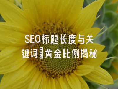 SEO标题长度与关键词：黄金比例揭秘