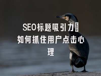 SEO标题吸引力：如何抓住用户点击心理