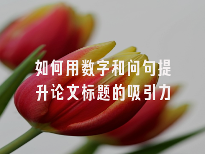 如何用数字和问句提升论文标题的吸引力