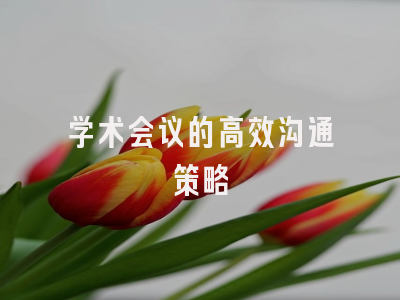 学术会议的高效沟通策略