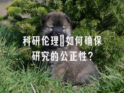 科研伦理：如何确保研究的公正性？