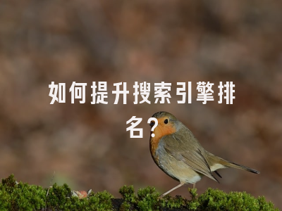 如何提升搜索引擎排名？