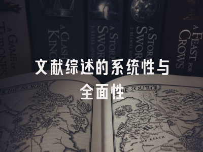 文献综述的系统性与全面性