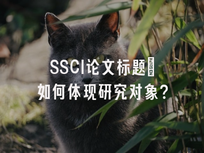 SSCI论文标题：如何体现研究对象？