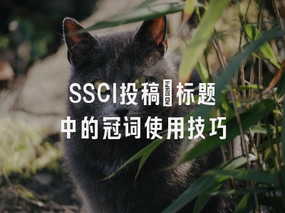 SSCI投稿：标题中的冠词使用技巧