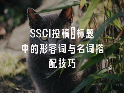 SSCI投稿：标题中的形容词与名词搭配技巧