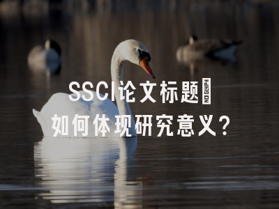 SSCI论文标题：如何体现研究意义？