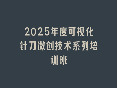 2025年度可视化针刀微创技术系列培训班