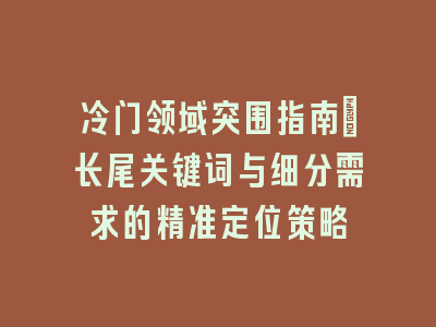 冷门领域突围指南：长尾关键词与细分需求的精准定位策略