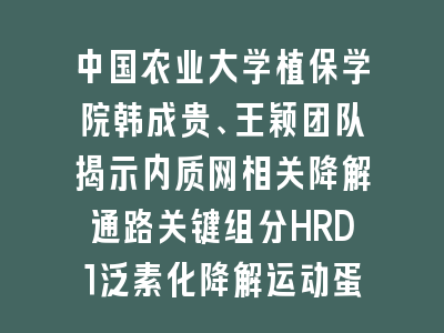中国农业大学植保学院韩成贵、王颖团队揭示内质网相关降解通路关键组分HRD1泛素化降解运动蛋白抑制植物病毒侵染的分子机制