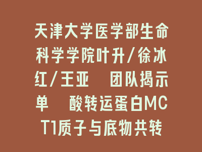 天津大学医学部生命科学学院叶升/徐冰红/王亚鑫团队揭示单羧酸转运蛋白MCT1质子与底物共转运机制