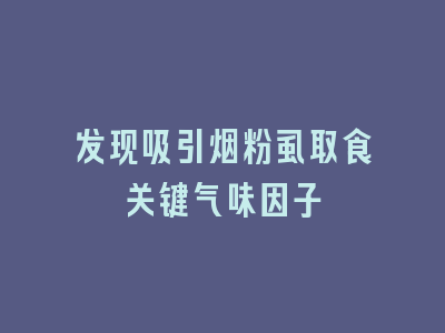 发现吸引烟粉虱取食关键气味因子