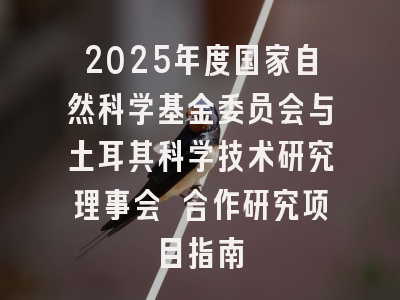 2025年度国家自然科学基金委员会与土耳其科学技术研究理事会 合作研究项目指南