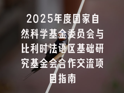 2025年度国家自然科学基金委员会与比利时法语区基础研究基金会合作交流项目指南