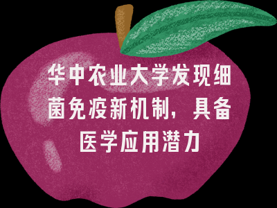 华中农业大学发现细菌免疫新机制，具备医学应用潜力