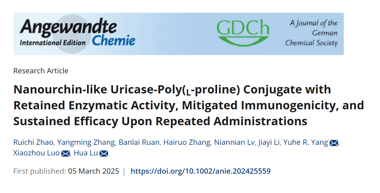 北京大学化学与分子工程学院吕华课题组与合作者利用原位“接枝聚合”技术破解蛋白药物长效与免疫原性难题