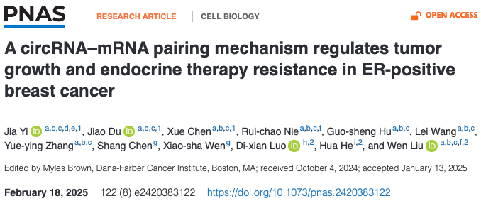 刘文教授团队揭示circFOXK2促ER阳性乳腺癌及内分泌治疗耐药的分子机制