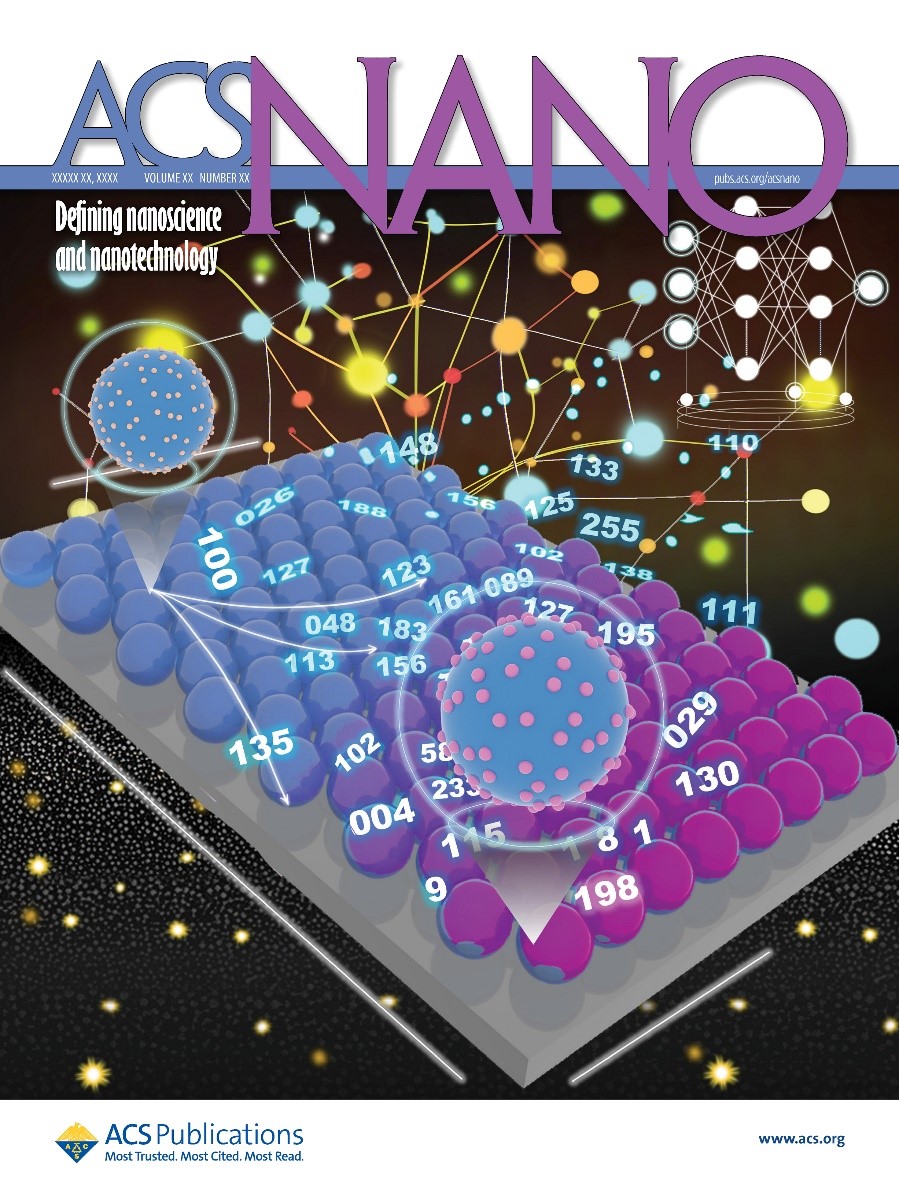 东南大学孙岳明团队在《ACS NANO》上发表重要研究成果