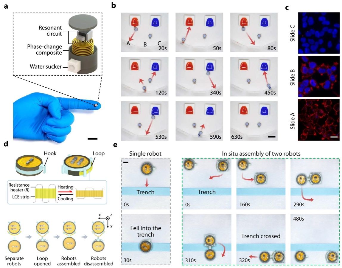 中国科大实现可寻址可感知的磁软体机器人原位动态编程