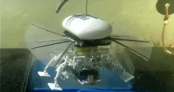 北京航空航天大学《Science Robotics》刊发北航研究团队和合作者最新研究成果：深海小型多模态机器人