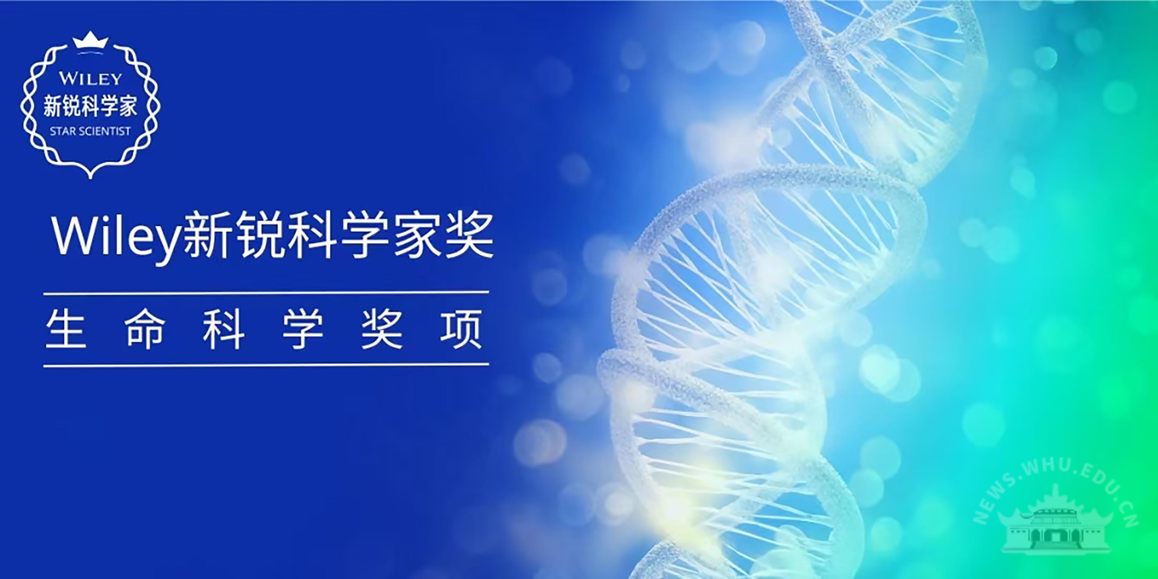 武汉大学刘立鸿教授获首届Wiley新锐科学家奖-生命科学奖项