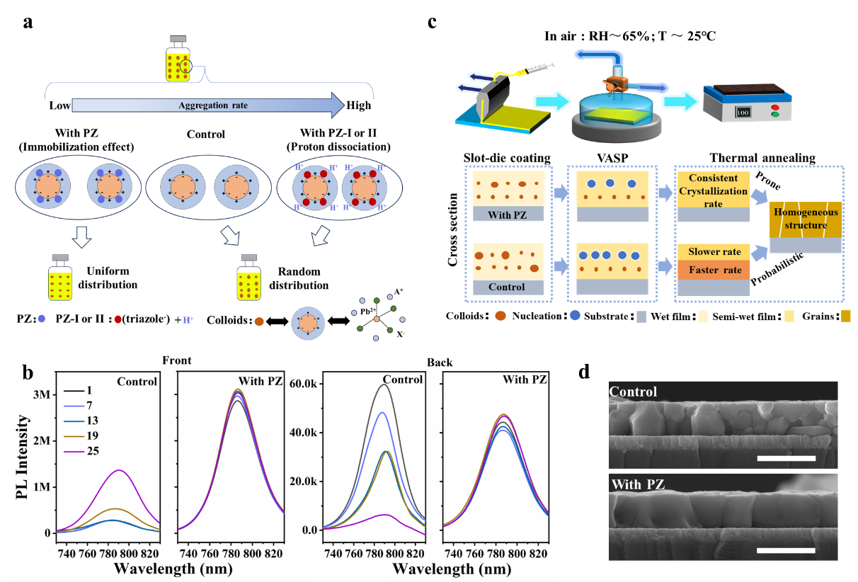 电子科技大学光电学院李世彬教授团队在《自然·通讯》报道钙钛矿光伏模组重要成果