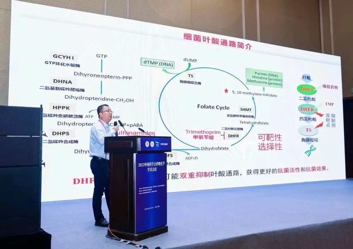 中央民族大学药学院王昊教授团队：AI赋能药物研发