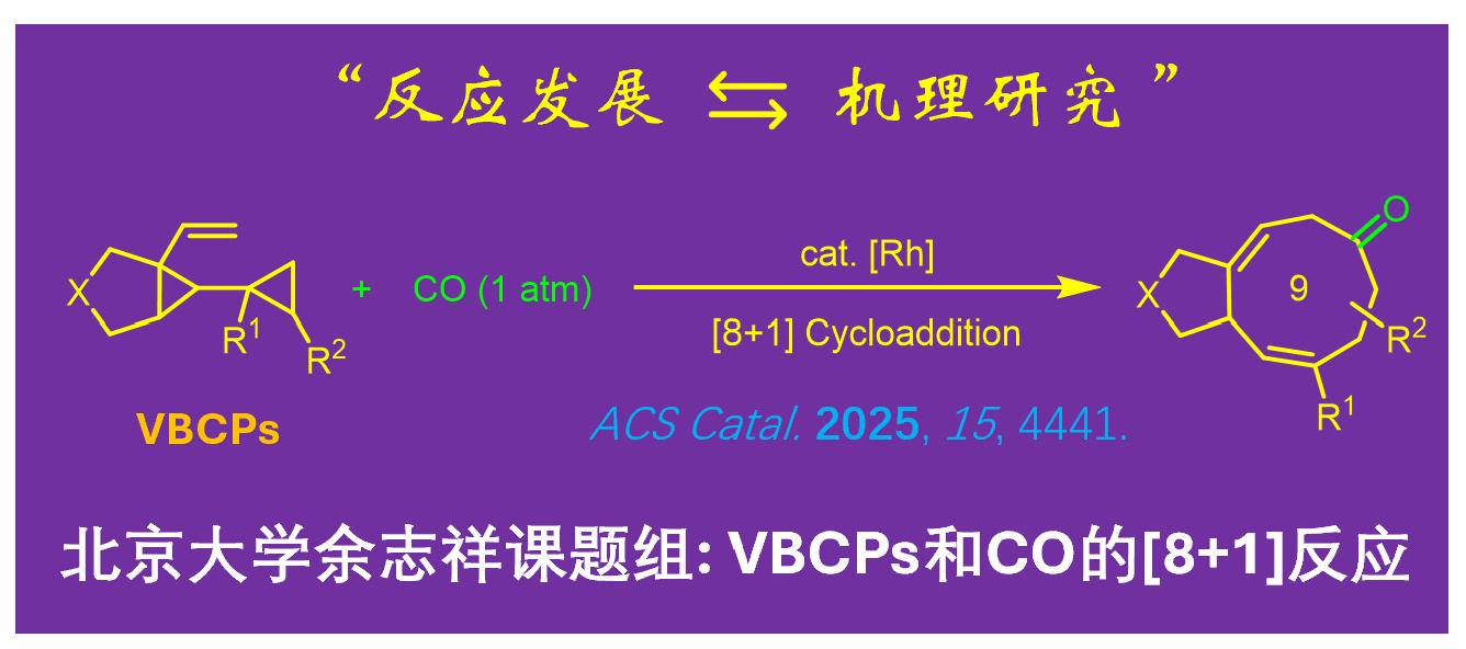 北京大学化学学院余志祥课题组在[8+1]反应的发展和机理研究方面取得进展