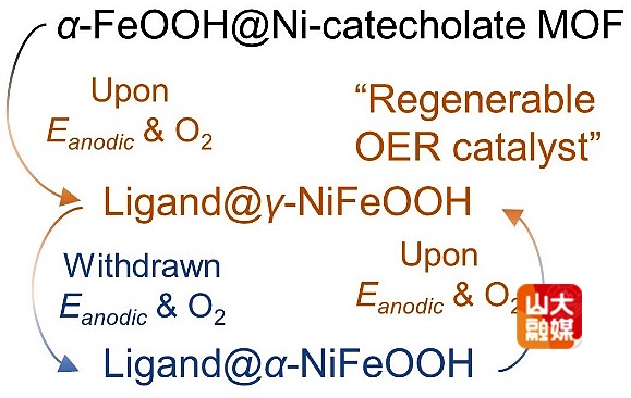 山东大学前沿化学研究院吴昊教授团队在MOFs电催化与储能领域取得系列研究进展