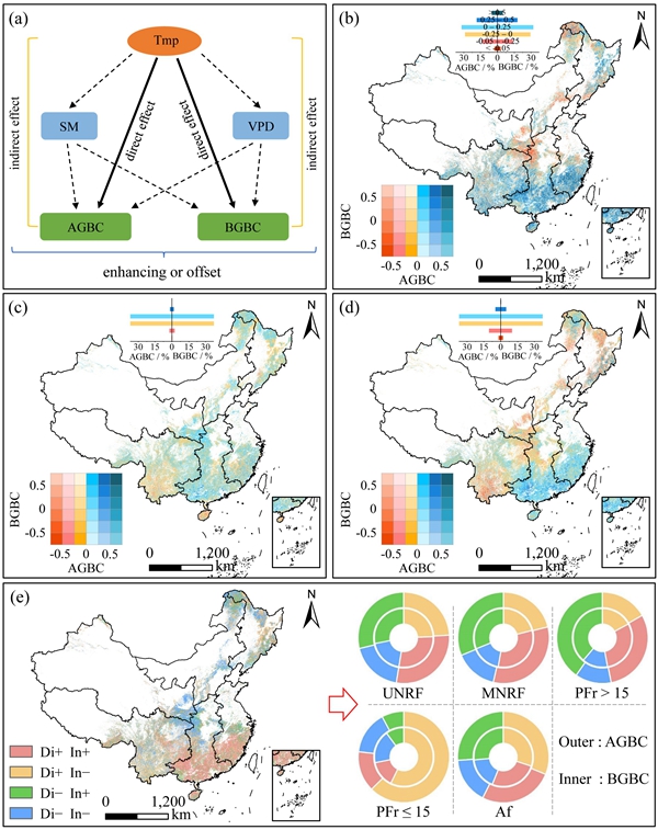 西北农林科技大学 水保学院高照良研究员团队在气候变化背景下森林碳循环机制研究中取得新进展