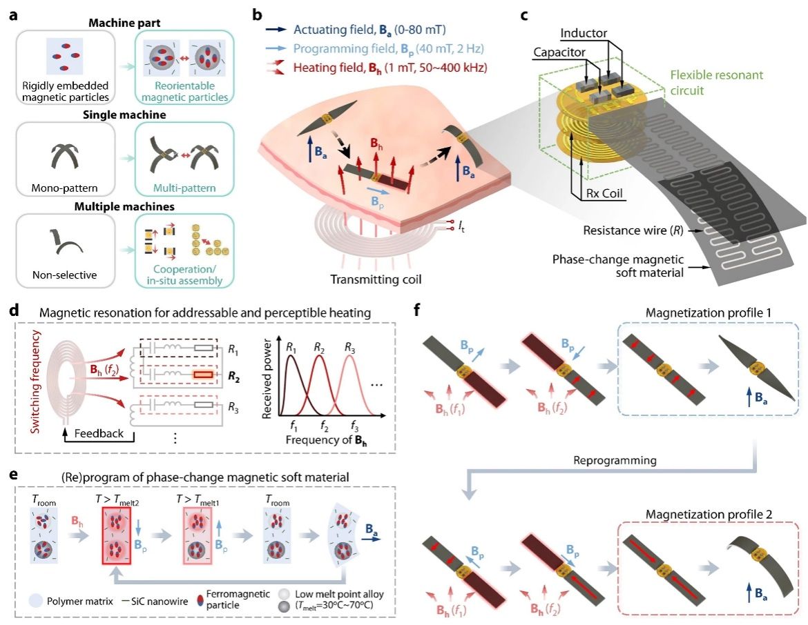 中国科大实现可寻址可感知的磁软体机器人原位动态编程