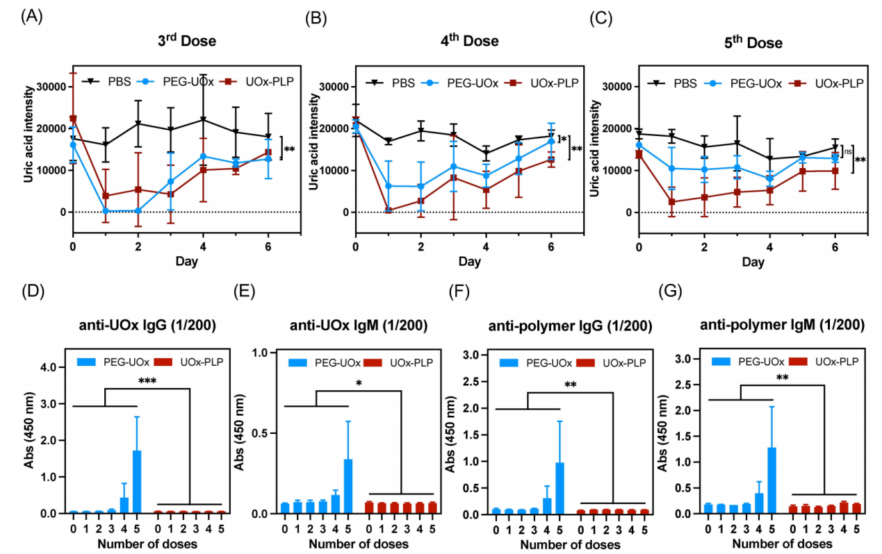 北京大学化学与分子工程学院吕华课题组与合作者利用原位“接枝聚合”技术破解蛋白药物长效与免疫原性难题