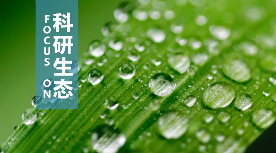 2025年国际期刊预警名单发布!
