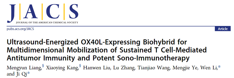 南开团队开发基因工程菌-声动力协同系统增强肿瘤免疫治疗效果