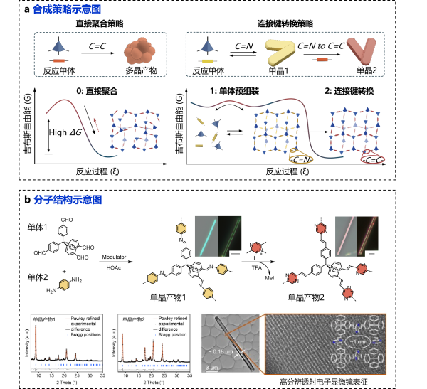 研究实现单晶态sp2-碳共轭有机框架聚合物的精准构筑