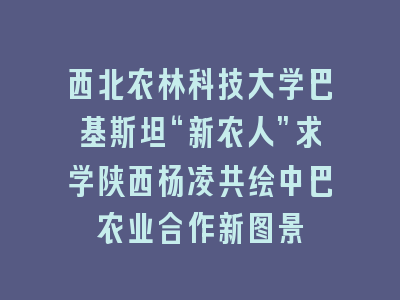 西北农林科技大学巴基斯坦“新农人”求学陕西杨凌共绘中巴农业合作新图景