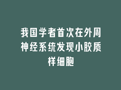 我国学者首次在外周神经系统发现小胶质样细胞
