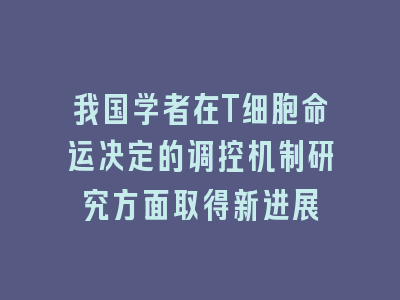 我国学者在T细胞命运决定的调控机制研究方面取得新进展