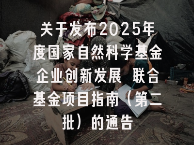 关于发布2025年度国家自然科学基金企业创新发展 联合基金项目指南（第二批）的通告