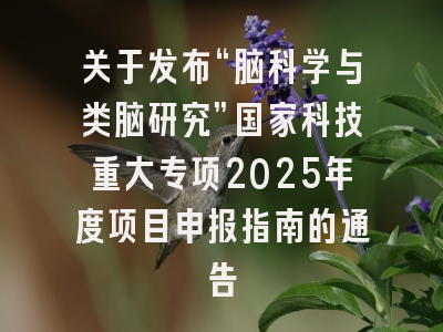 关于发布“脑科学与类脑研究”国家科技重大专项2025年度项目申报指南的通告