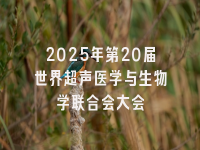 2025年第20届世界超声医学与生物学联合会大会